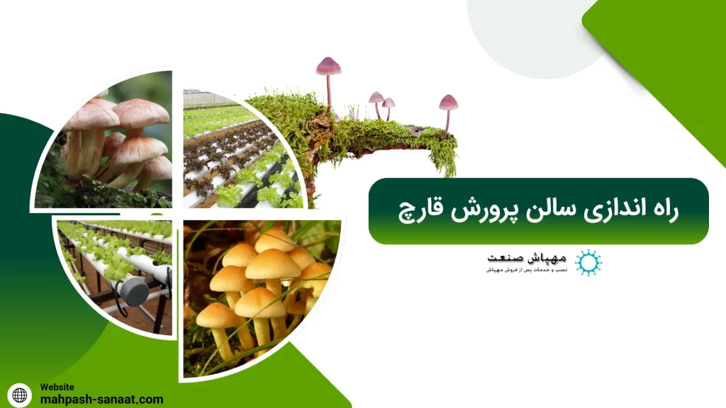 راه اندازی سالن پرورش قارچ