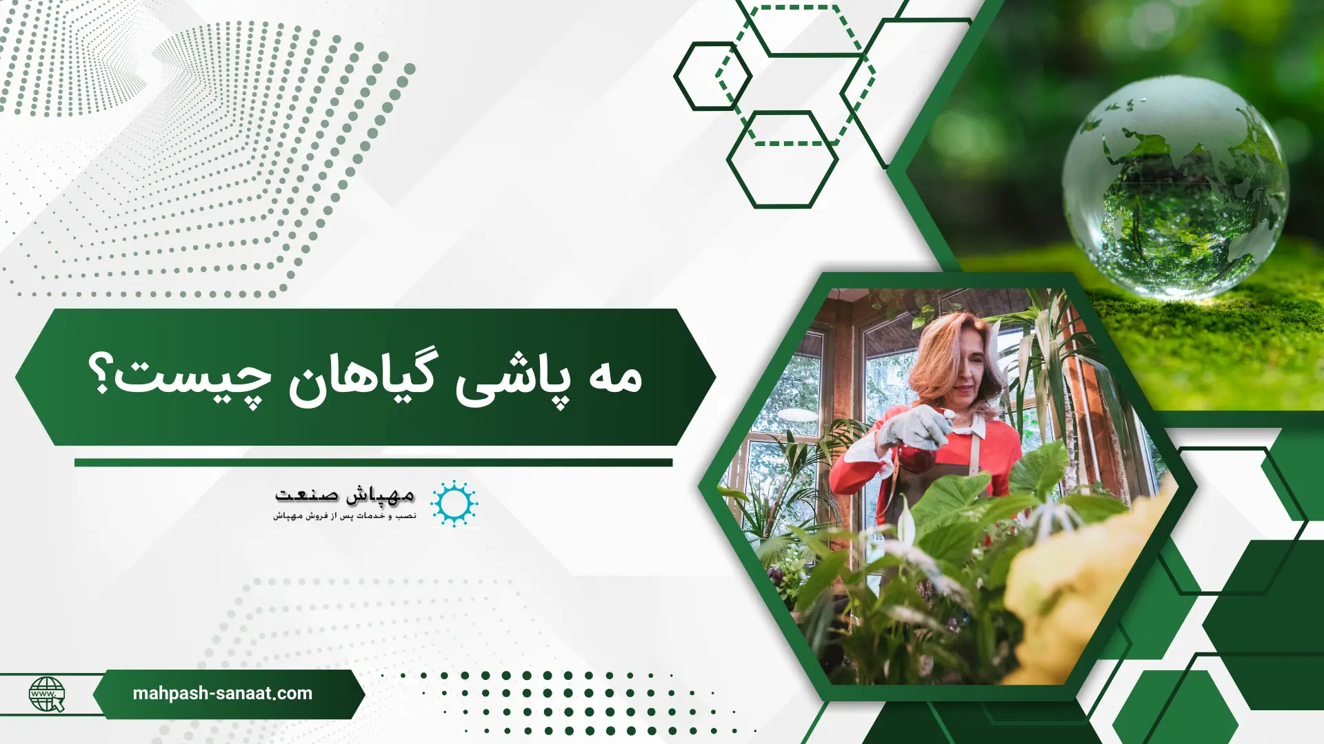 مه پاشی گیاهان