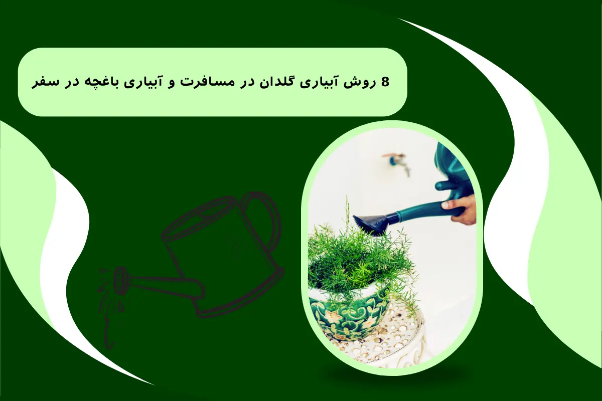 8 روش آبیاری گلدان در مسافرت و آبیاری باغچه در سفر