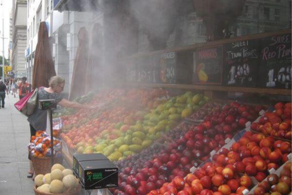 آیا مه پاش مغازه را در مقابل میوه فروشی ها هم نصب می کنند؟