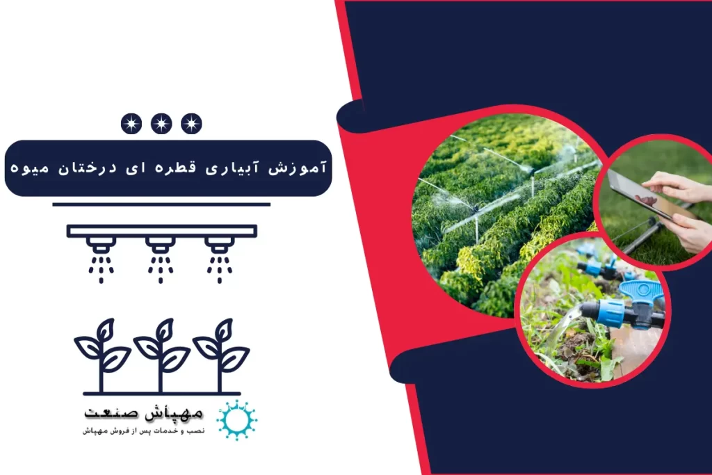 آموزش آبیاری قطره ای درختان میوه