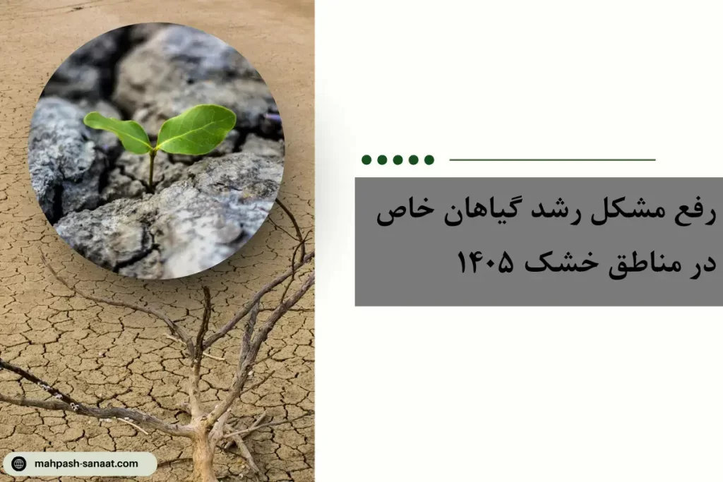 رفع مشکل رشد گیاهان خاص در مناطق خشک 1405