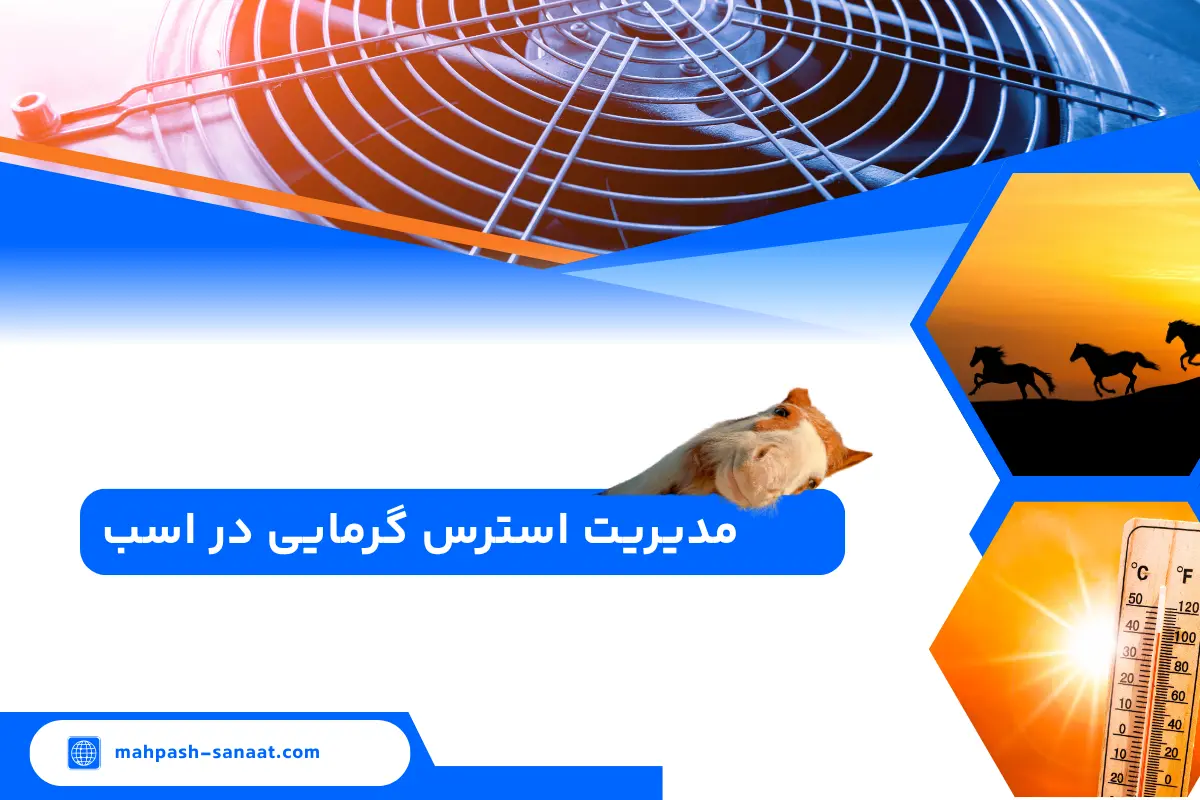 مدیریت استرس گرمایی در اسب | علائم + راه مقابله با آن ✅