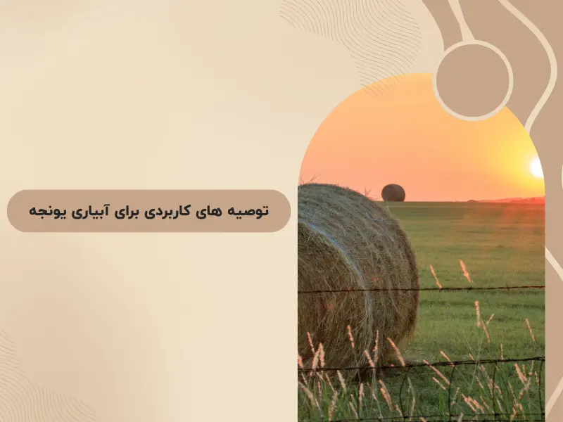 توصیه های کاربردی برای آبیاری یونجه