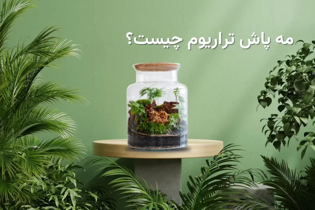 مه پاش تراریوم چیست؟ / از مزیت تا کاربرد مه پاش تراریوم 