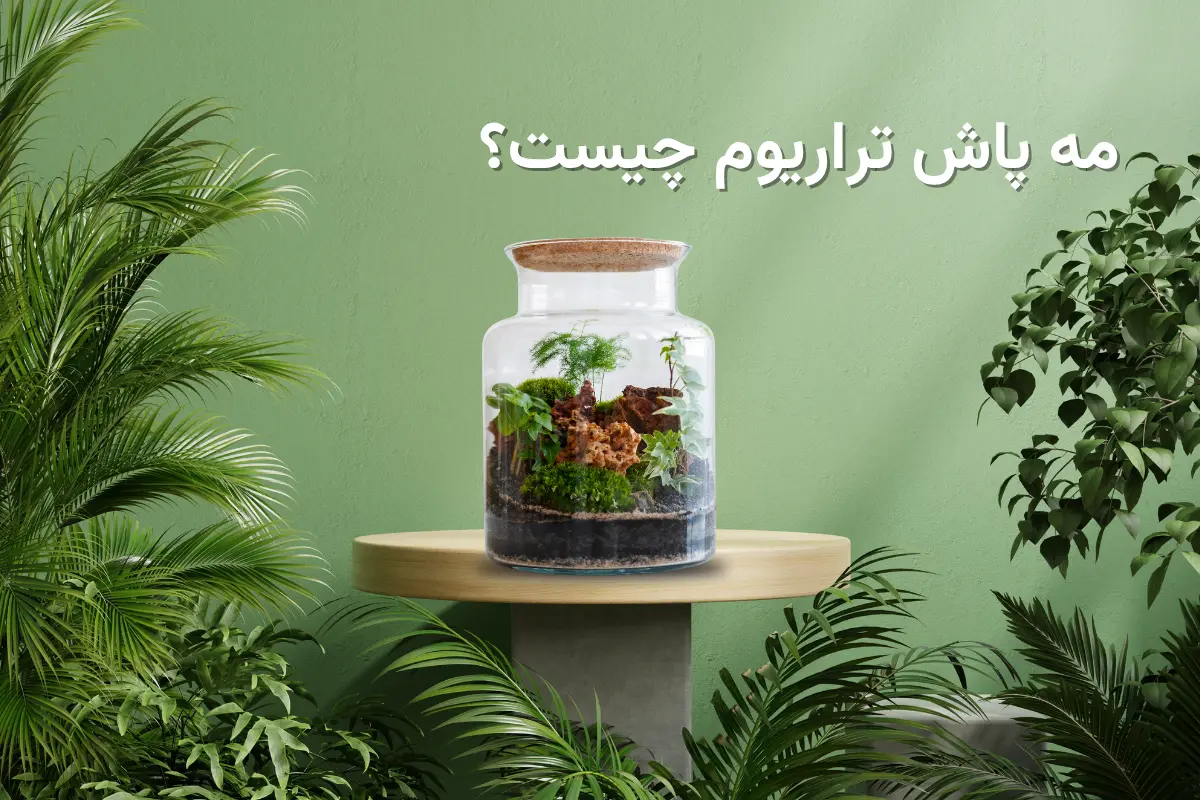 مه پاش تراریوم چیست؟ / از مزیت تا کاربرد مه پاش تراریوم