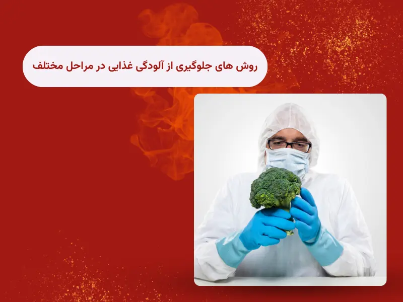 روش های جلوگیری از آلودگی غذایی در مراحل مختلف