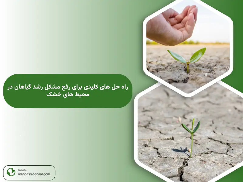 راه حل های کلیدی برای رفع مشکل رشد گیاهان در محیط های خشک