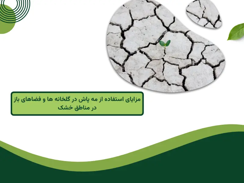 مزایای استفاده از مه پاش در گلخانه ها و فضاهای باز در مناطق خشک
