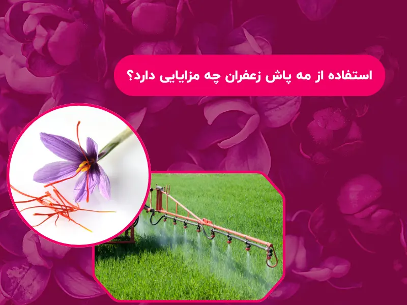 استفاده از مه پاش زعفران چه مزایایی دارد؟