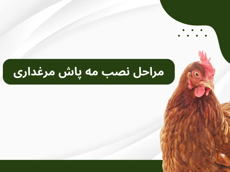 مراحل نصب مه پاش مرغداری