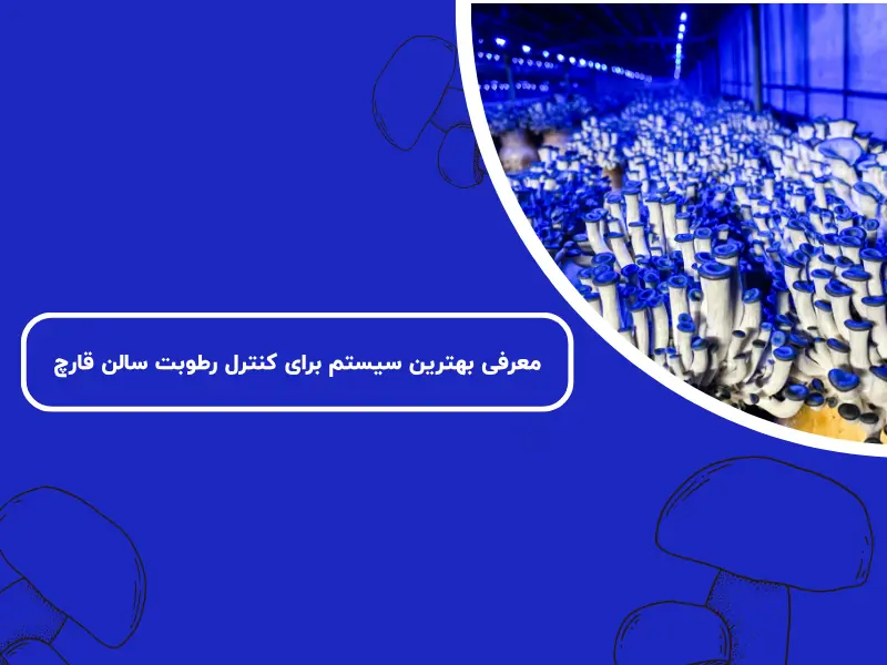 معرفی بهترین سیستم برای کنترل رطوبت سالن قارچ