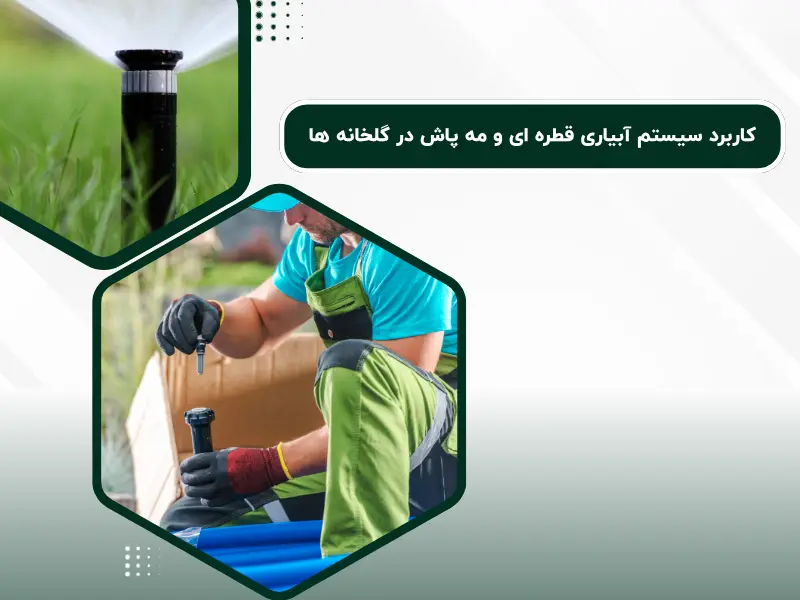 کاربرد سیستم آبیاری قطره ای و مه پاش در گلخانه ها