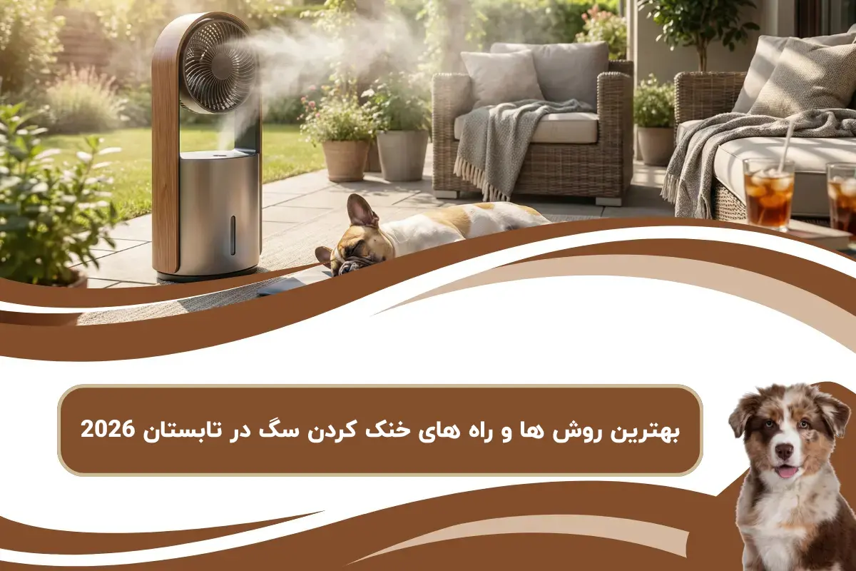 بهترین روش ها و راه های خنک کردن سگ در تابستان 2025